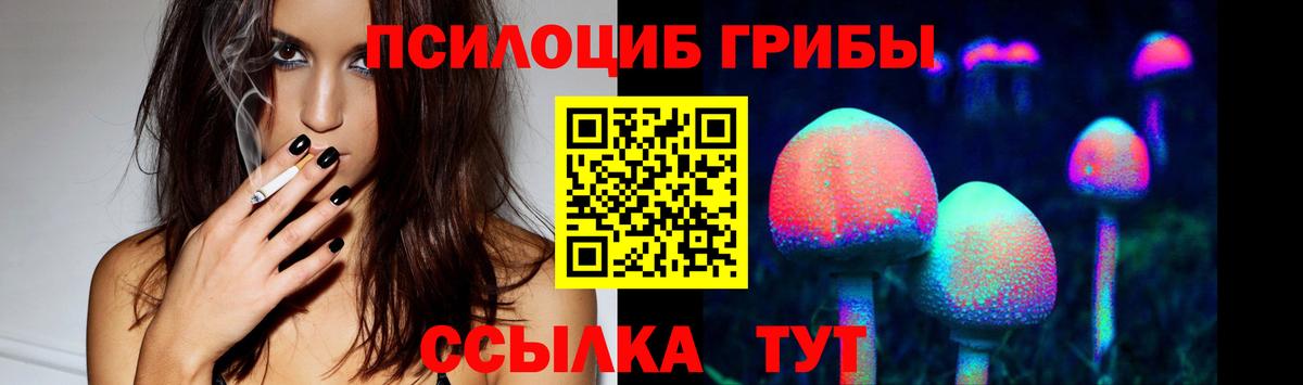 Псилоцибиновые грибы GOLDEN TEACHER Мурманск